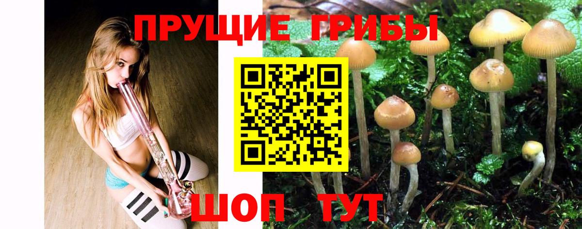 Псилоцибиновые грибы мухоморы Ростов-на-Дону